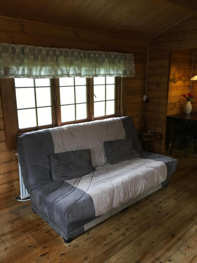 Appartamento Heidi Cabin Reykholt  Esterno foto
